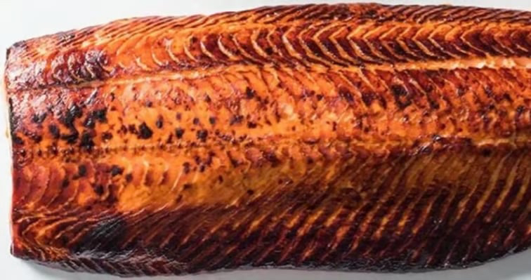 Salmon